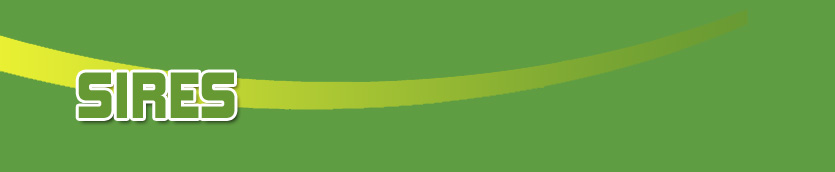 Sires