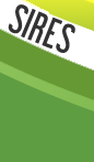 Sires